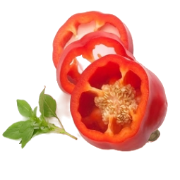 Paprika