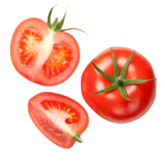 Svež Paradižnik
